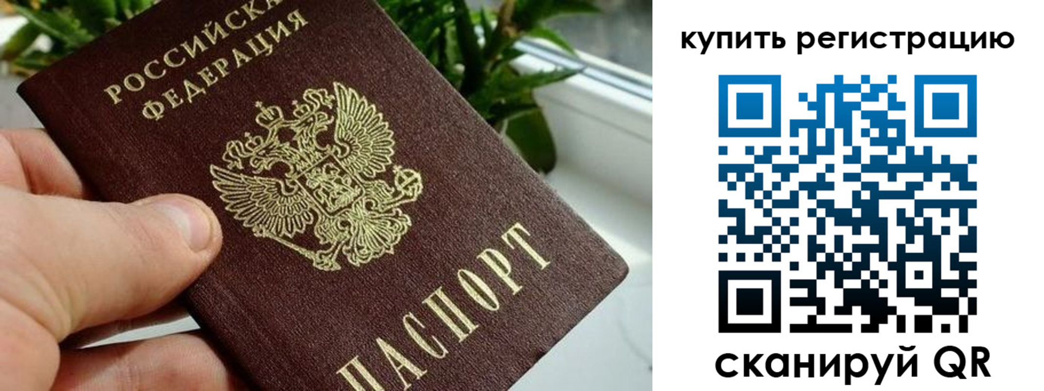 прописка гарантия в Данкове